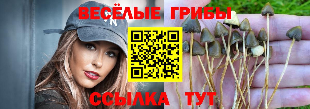 Псилоцибиновые грибы мицелий Бугуруслан