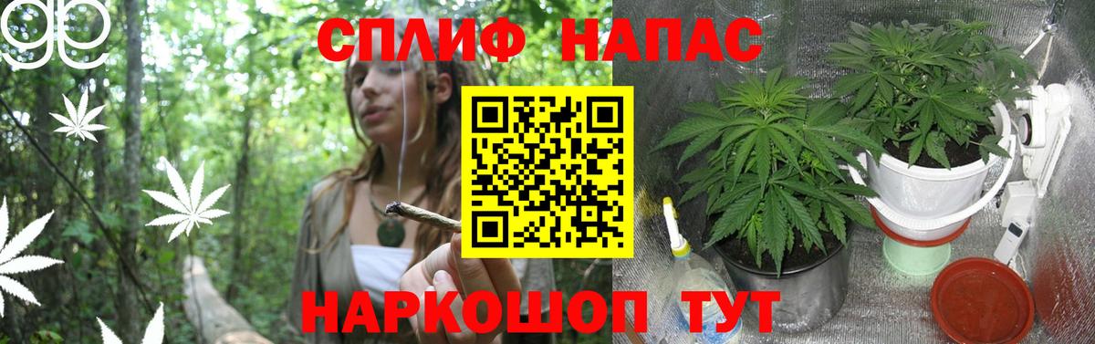 Канабис AK-47  Вход с VPN  Канабис THC 21%  Бугуруслан 